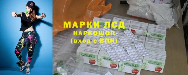 гидра Бородино