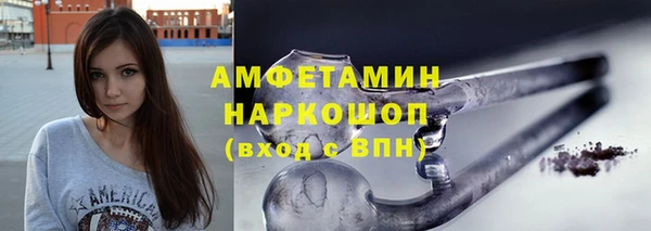 гидра Бородино