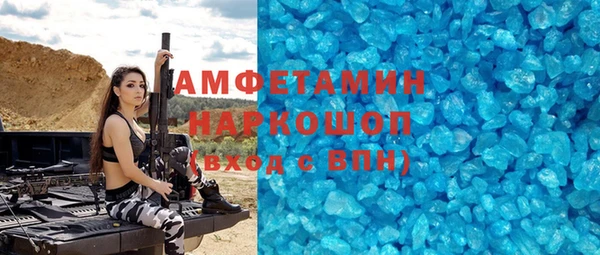 гидра Бородино