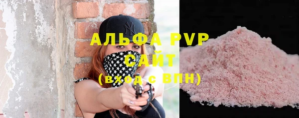 гидра Бородино