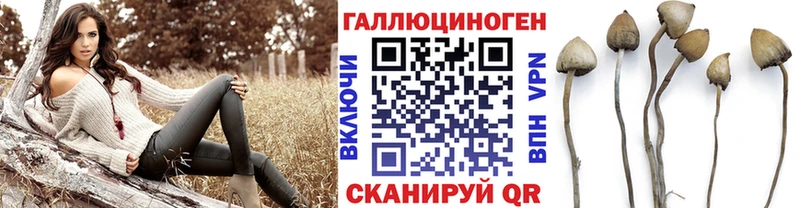 где купить наркоту  мориарти какой сайт  Галлюциногенные грибы MAGIC MUSHROOMS  Чита 