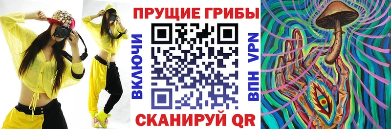 Псилоцибиновые грибы Psilocybine cubensis Чита